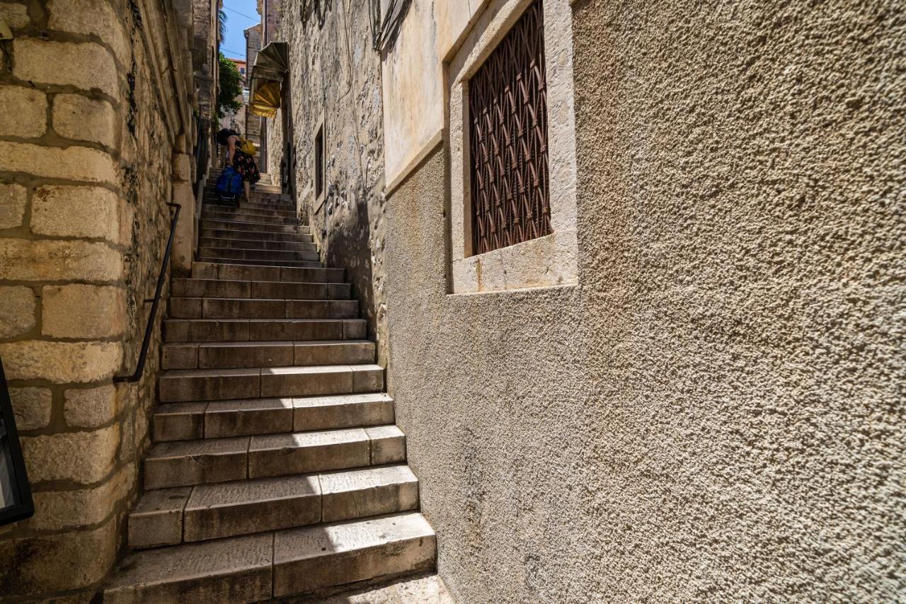 Swan - Old Town Dubrovnik